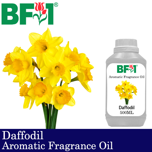Aromatic Fragrance Oil (AFO) - Daffodil - 500ml