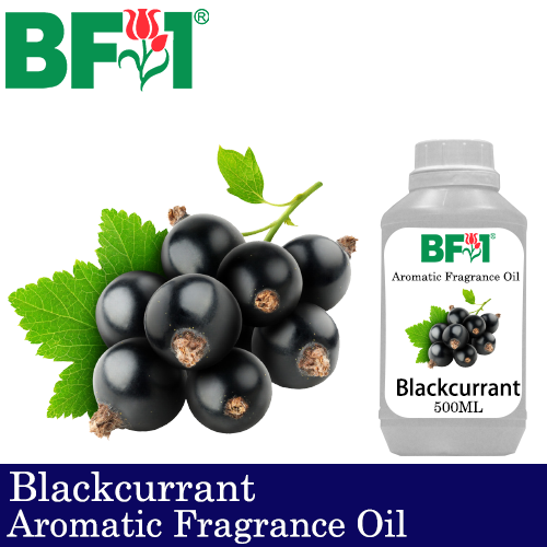 Aromatic Fragrance Oil (AFO) - Blackcurrant - 500ml