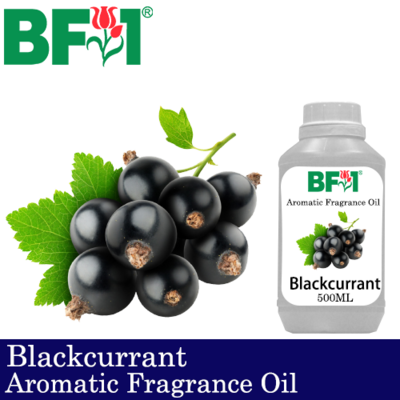 Aromatic Fragrance Oil (AFO) - Blackcurrant - 500ml