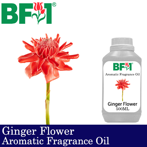 Aromatic Fragrance Oil (AFO) - Ginger Flower - 500ml