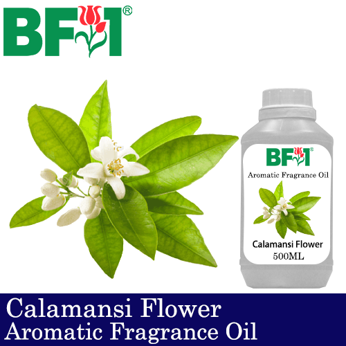Aromatic Fragrance Oil (AFO) - Calamansi Flower - 500ml