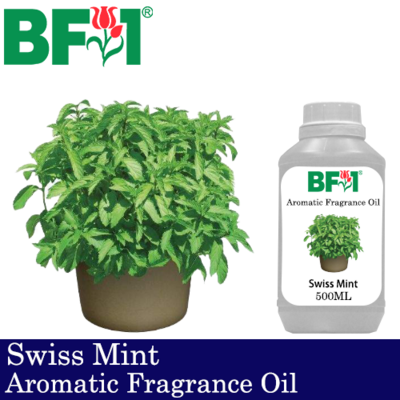 Aromatic Fragrance Oil (AFO) - Swiss Mint - 500ml