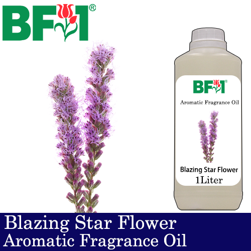 Aromatic Fragrance Oil (AFO) - Blazing Star Flower - 1L