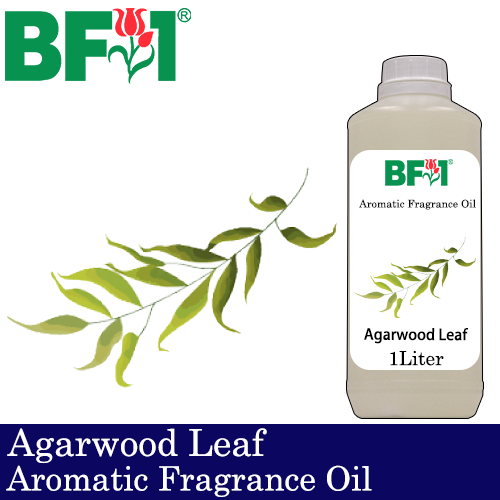 Aromatic Fragrance Oil (AFO) - Agarwood Leaf - 1L