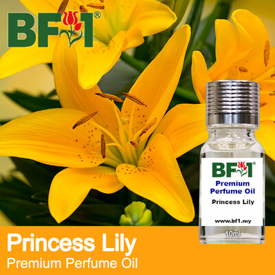 PPO - Princess Lily (For General Use)