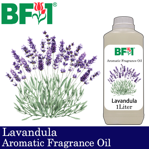Aromatic Fragrance Oil (AFO) - Lavandula - 1L