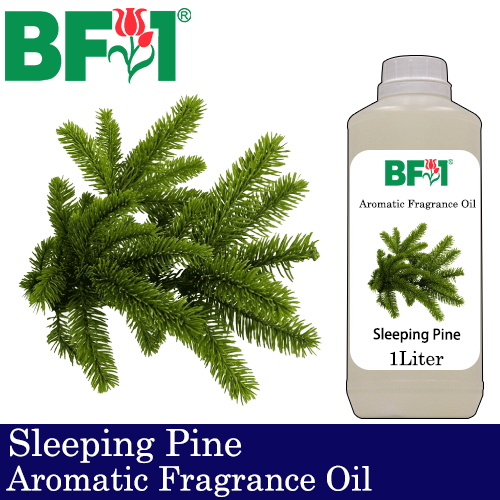 Aromatic Fragrance Oil (AFO) - Sleeping Pine - 1L