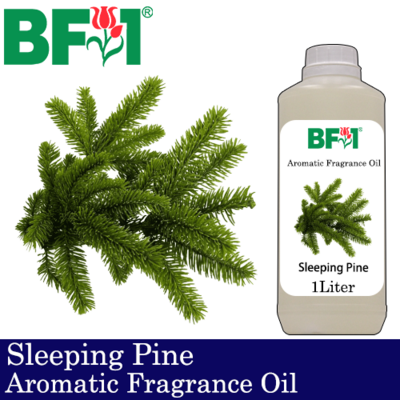 Aromatic Fragrance Oil (AFO) - Sleeping Pine - 1L Aromatic Fragrance Oil (AFO) - Sleeping Pine - 1L