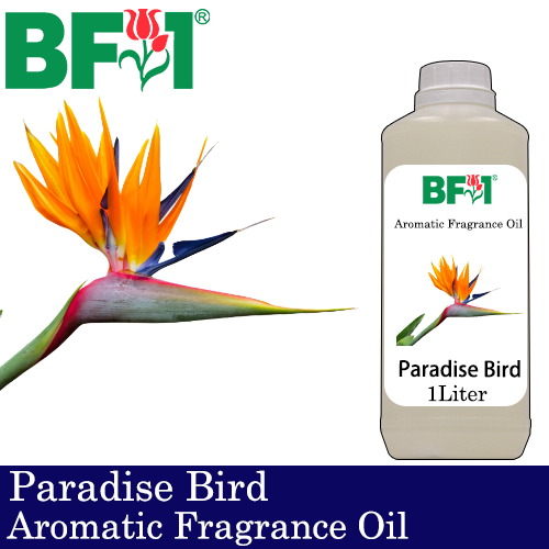 Aromatic Fragrance Oil (AFO) - Paradise Bird - 1L