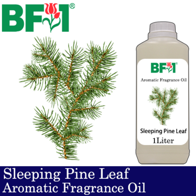 Aromatic Fragrance Oil (AFO) - Sleeping Pine Leaf - 1L