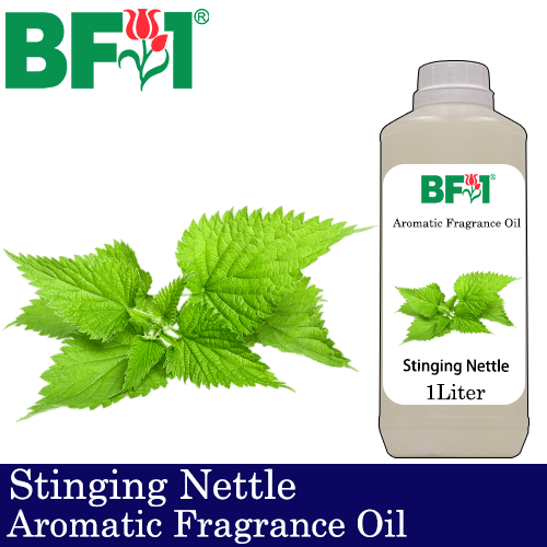 Aromatic Fragrance Oil (AFO) - Stinging Nettle - 1L