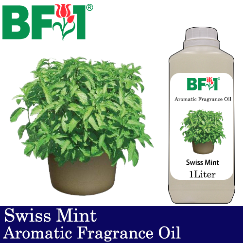 Aromatic Fragrance Oil (AFO) - Swiss Mint - 1L