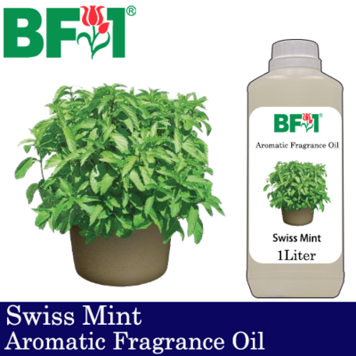 Aromatic Fragrance Oil (AFO) - Swiss Mint - 1L Aromatic Fragrance Oil (AFO) - Swiss Mint - 1L