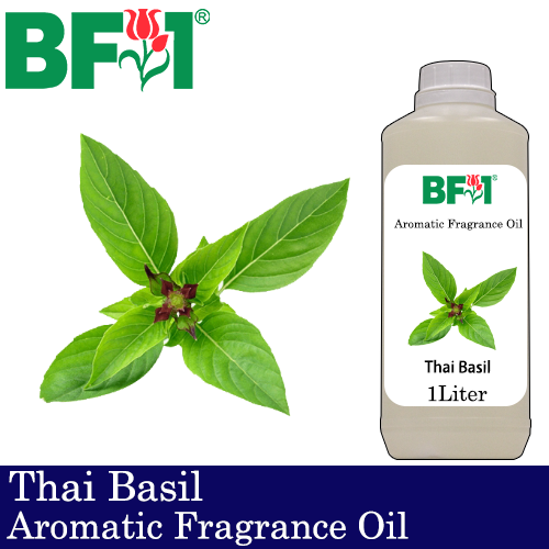 Aromatic Fragrance Oil (AFO) - Thai Basil - 1L