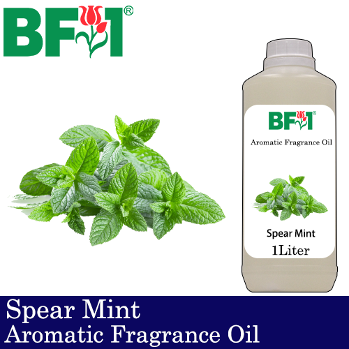 Aromatic Fragrance Oil (AFO) - Spear Mint - 1L