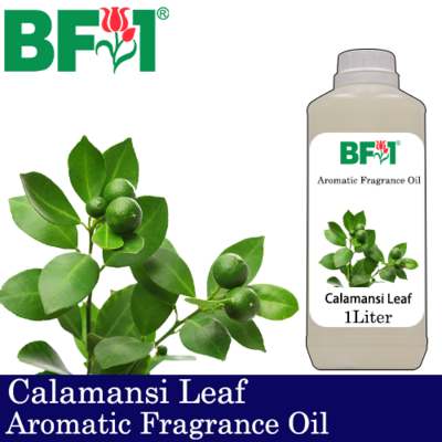 Aromatic Fragrance Oil (AFO) - Calamansi Leaf - 1L Aromatic Fragrance Oil (AFO) - Calamansi Leaf - 1L