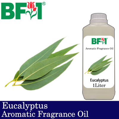 Aromatic Fragrance Oil (AFO) - Eucalyptus - 1L