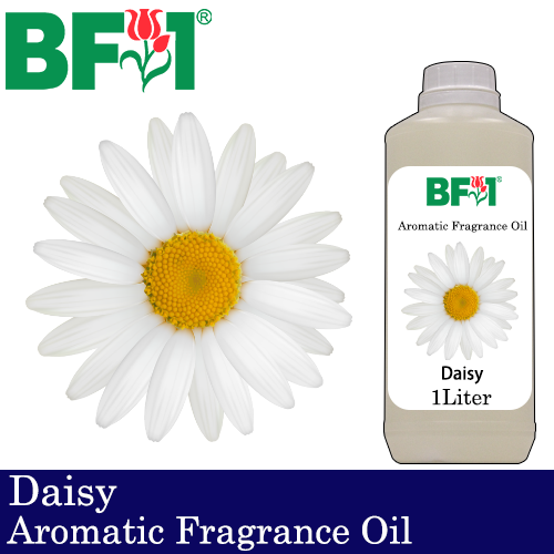 Aromatic Fragrance Oil (AFO) - Daisy - 1L