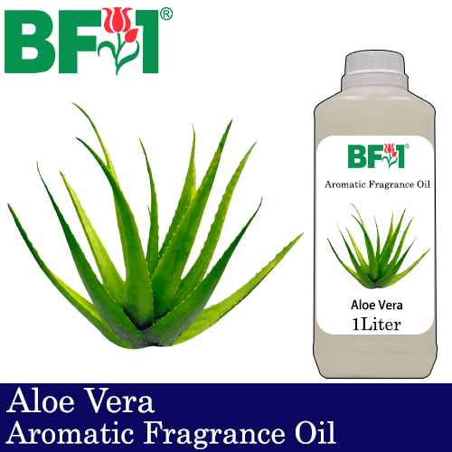 Aromatic Fragrance Oil (AFO) - Aloe Vera - 1L