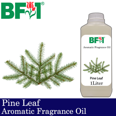 Aromatic Fragrance Oil (AFO) - Pine Leaf - 1L