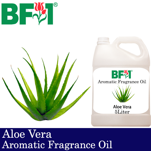 Aromatic Fragrance Oil (AFO) - Aloe Vera - 5L