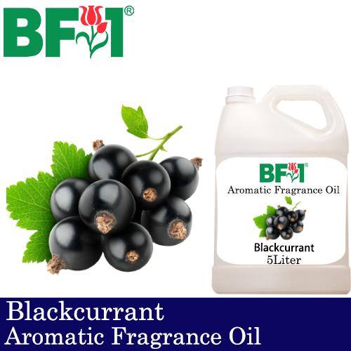 Aromatic Fragrance Oil (AFO) - Blackcurrant - 5L