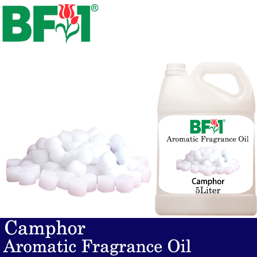 Aromatic Fragrance Oil (AFO) - Camphor - 5L