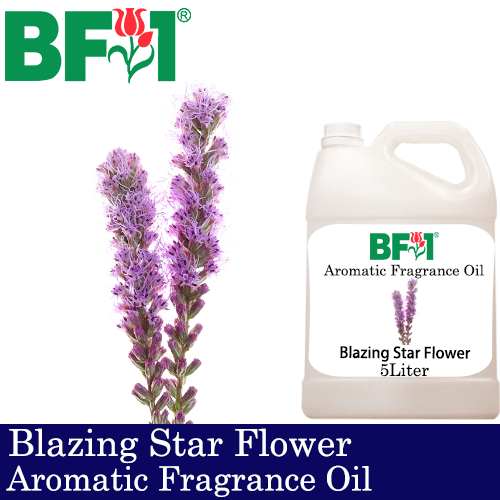 Aromatic Fragrance Oil (AFO) - Blazing Star Flower - 5L