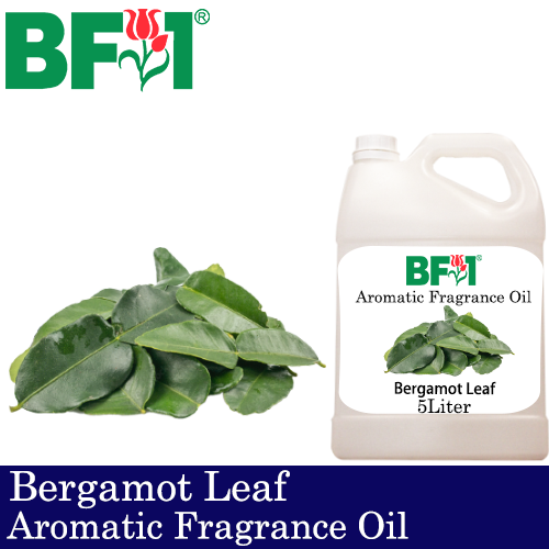 Aromatic Fragrance Oil (AFO) - Bergamot Leaf - 5L