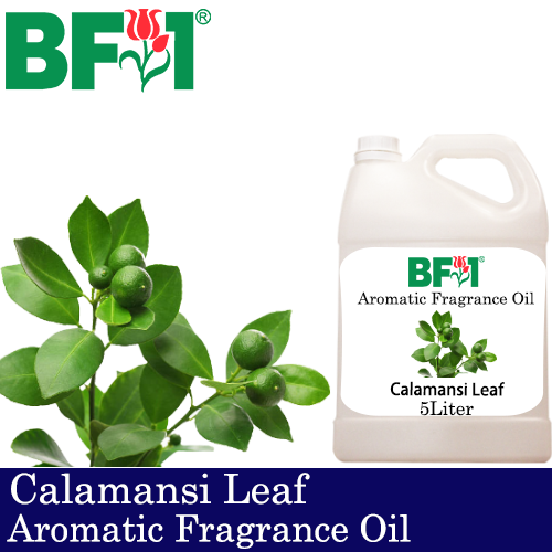 Aromatic Fragrance Oil (AFO) - Calamansi Leaf - 5L