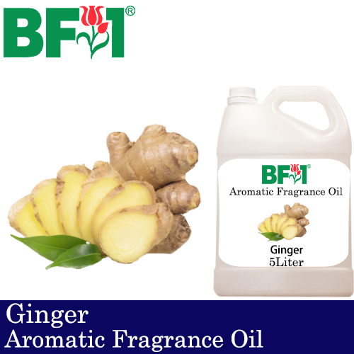 Aromatic Fragrance Oil (AFO) - Ginger - 5L