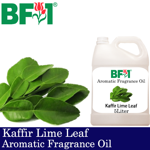 Aromatic Fragrance Oil (AFO) - Kaffir Lime Leaf  - 5L