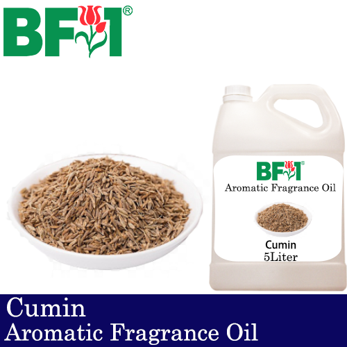 Aromatic Fragrance Oil (AFO) - Cumin - 5L