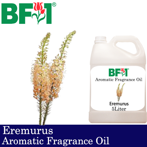 Aromatic Fragrance Oil (AFO) - Eremurus - 5L