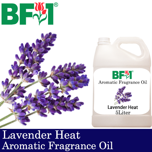 Aromatic Fragrance Oil (AFO) - Lavender Heat - 5L