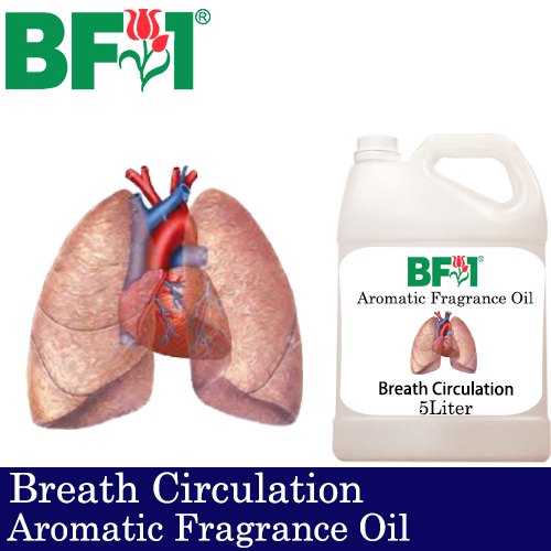 Aromatic Fragrance Oil (AFO) - Breath Circulation - 5L