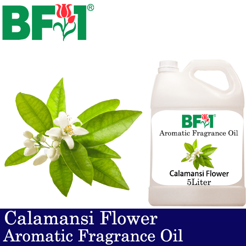Aromatic Fragrance Oil (AFO) - Calamansi Flower - 5L