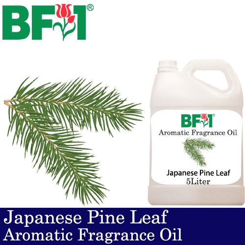 Aromatic Fragrance Oil (AFO) - Japanese Pine Leaf - 5L