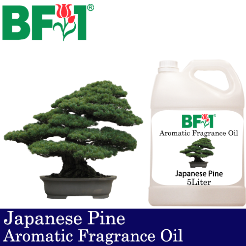 Aromatic Fragrance Oil (AFO) - Japanese Pine - 5L
