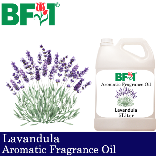 Aromatic Fragrance Oil (AFO) - Lavandula - 5L