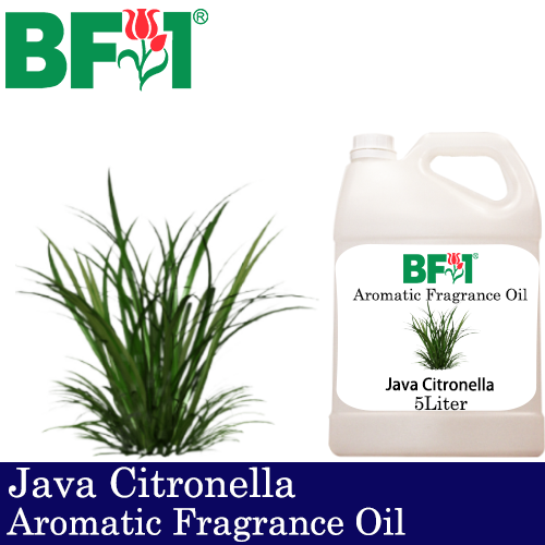 Aromatic Fragrance Oil (AFO) - Citronella - Java Citronella - 5L