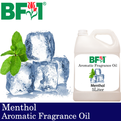 Aromatic Fragrance Oil (AFO) - Menthol - 5L