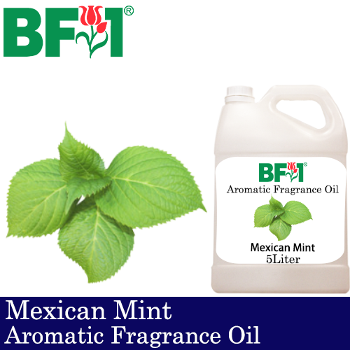 Aromatic Fragrance Oil (AFO) - Mexican Mint - 5L
