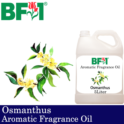 Aromatic Fragrance Oil (AFO) - Osmanthus - 5L