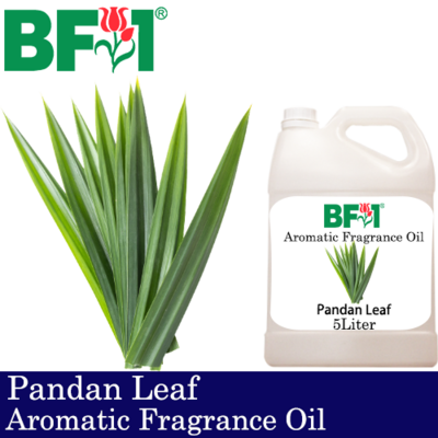 Aromatic Fragrance Oil (AFO) - Pandan Leaf - 5L Aromatic Fragrance Oil (AFO) - Pandan Leaf - 5L
