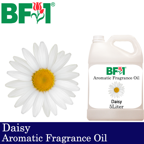 Aromatic Fragrance Oil (AFO) - Daisy - 5L