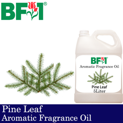 Aromatic Fragrance Oil (AFO) - Pine Leaf - 5L