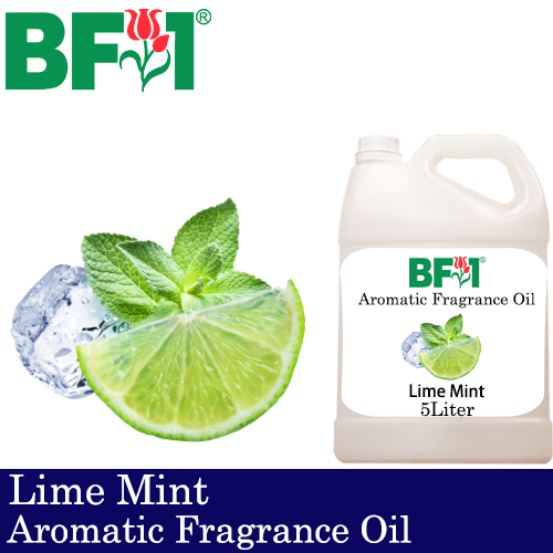 Aromatic Fragrance Oil (AFO) - Lime Mint - 5L
