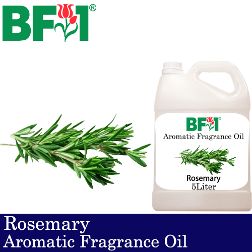 Aromatic Fragrance Oil (AFO) - Rosemary - 5L
