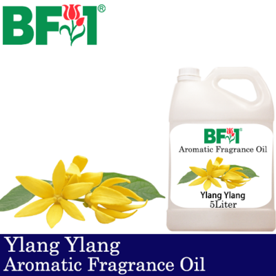 Aromatic Fragrance Oil (AFO) - Ylang Ylang - 5L